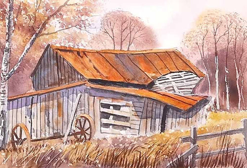 Tired Old Shed