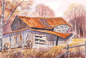 Tired Old Shed